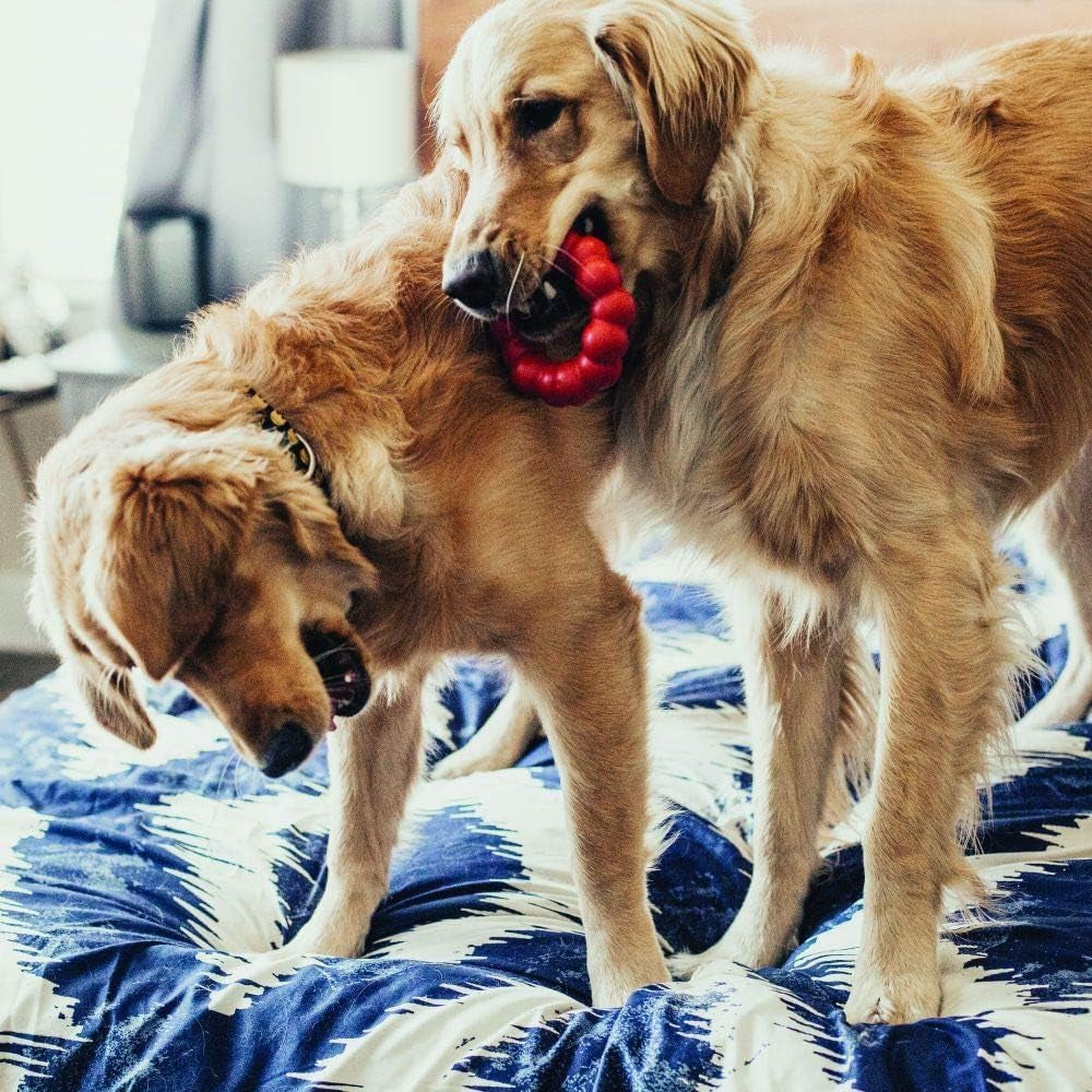 Ring, Natural Rubber Chew Toy for Dental Health, for Extra Large Dogs