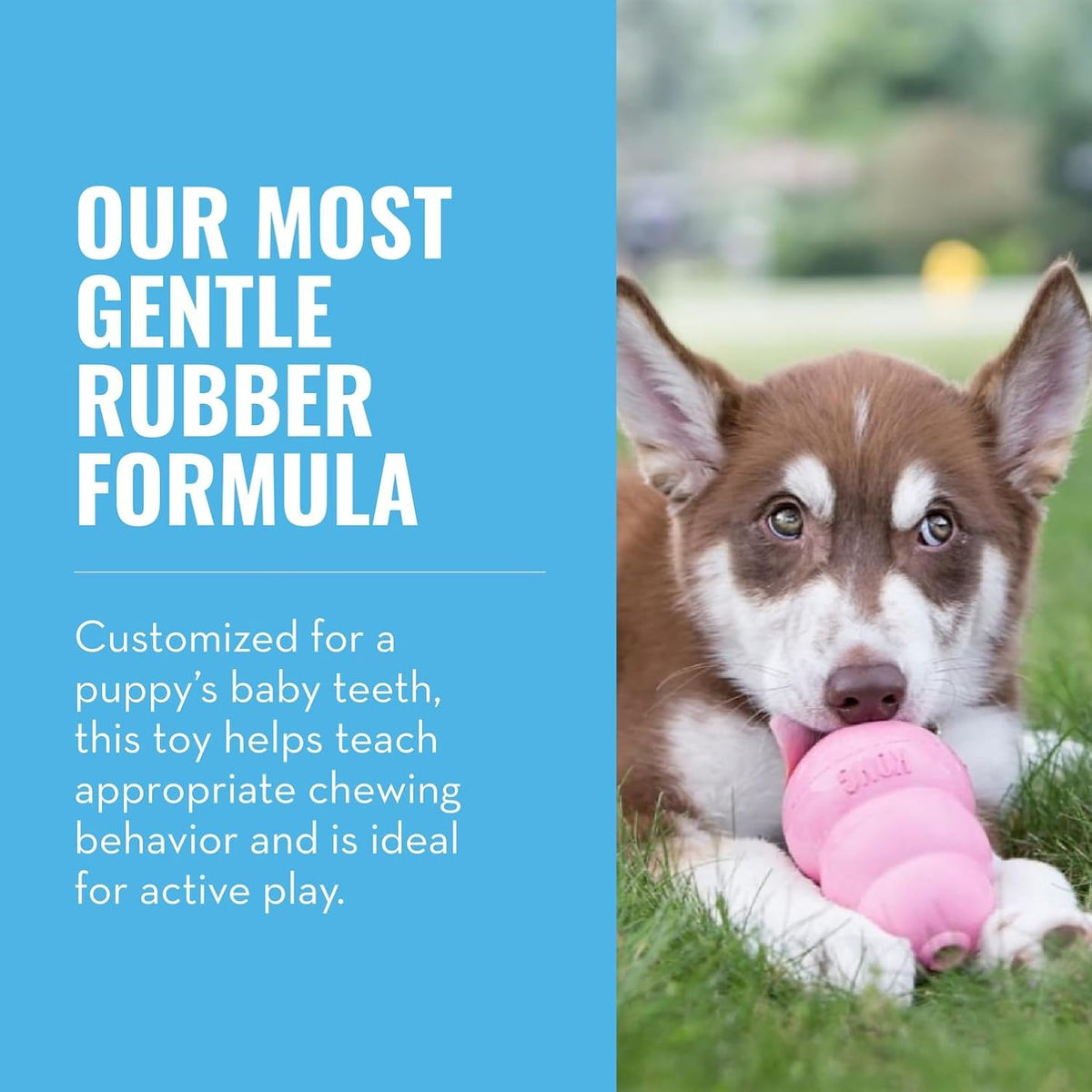 Puppy, Natural Rubber Teething Chew Toy, for Large Puppies, Pink