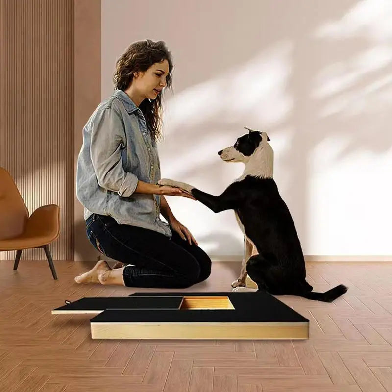 Pet Wooden Dog Scratching Board Pull-Out Nail Grinding Board Cat Nail Care Scratching Board with Sandpaper Scraper
